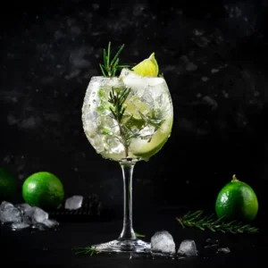 gin tonic alcoholic cocktail drink with dry gin r 2022 02 08 15 00 39 utc